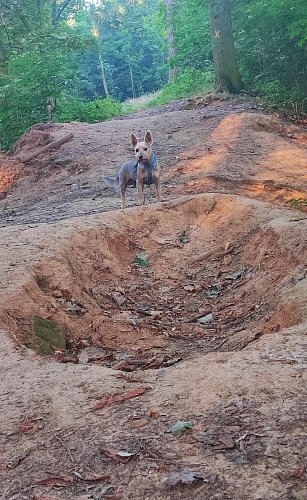 Byli tu mimozemšťané...