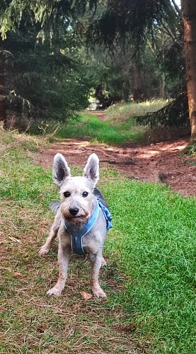 Dobrodružství v horách Krušných.