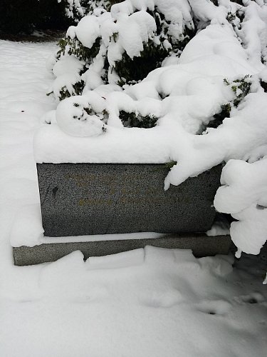 pomníček Anny Dvořákové