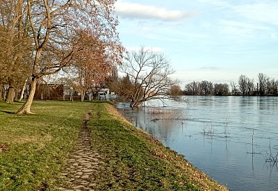 Procházka po podzimním Střeleckém ostrově *
