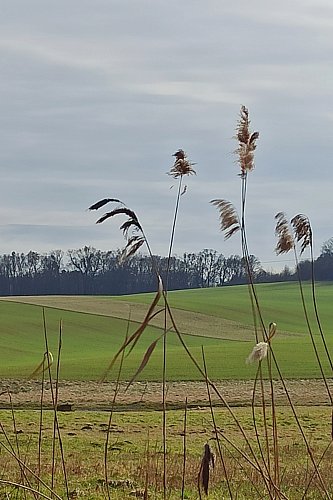 Už to ale voní jarem