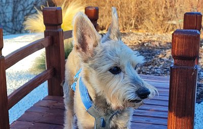 S brzkým jarem více energie mám.