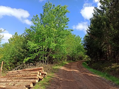 Veď mě dál cesto má