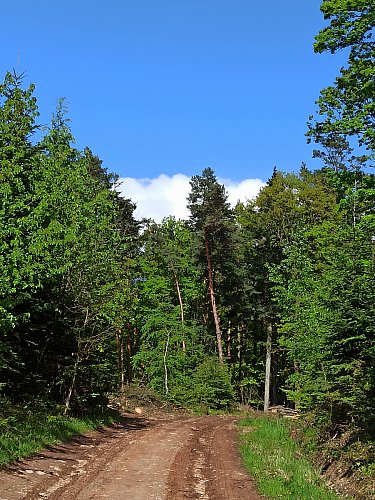 Krásný studený den