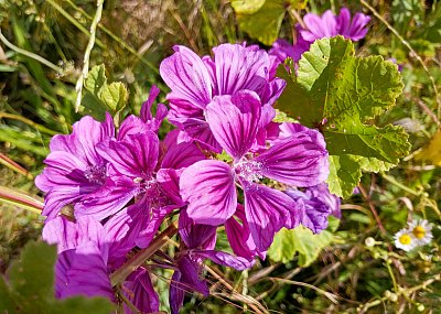 Fotoreportáž: Jaro 2024 – 2