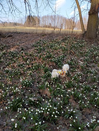 je tu mokro, pojďme už