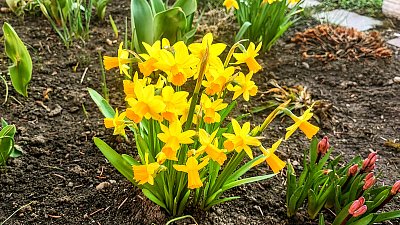 Jarní soutěž: Haló haló jaro volá