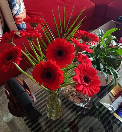 Vydržely dlouho  ...