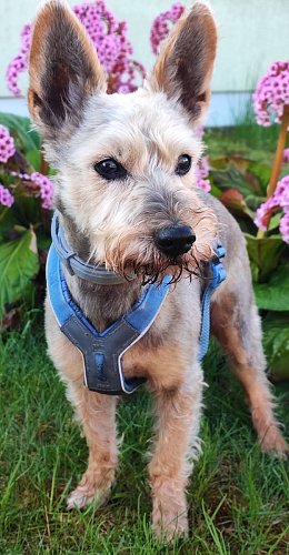 Tak už to cvakni...