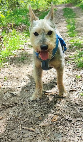 Putování v přírodě