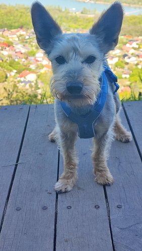 Ta výška! Raději jsem se neotáčel...