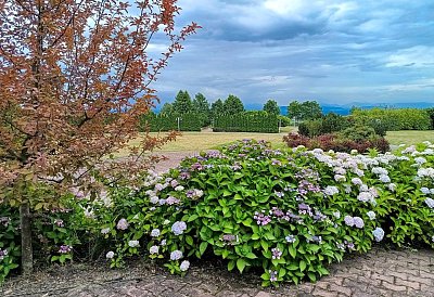 Fotoreportáž: Léto 2025