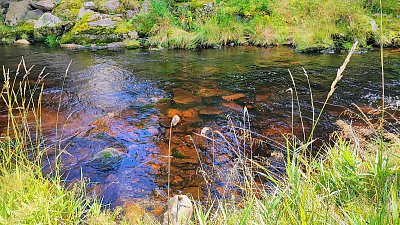 Řeka Vydra, Modrava