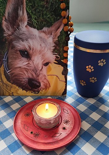 Leť duše milá, jsi volná...