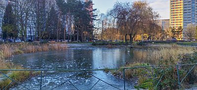 Rybníček už nám zamrznul