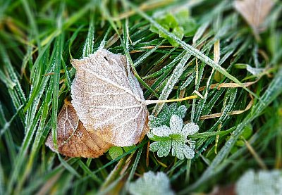 První záchvěv zimy pod bodem mrazu