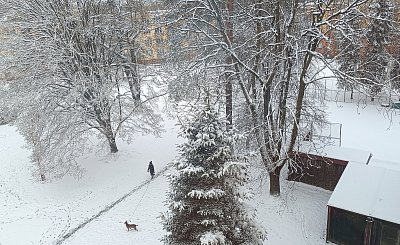 Haf, to se mi líbí. Tobě také?