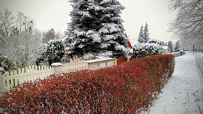 První "zimní" procházka *