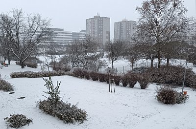 Dnes k nám přišla zima