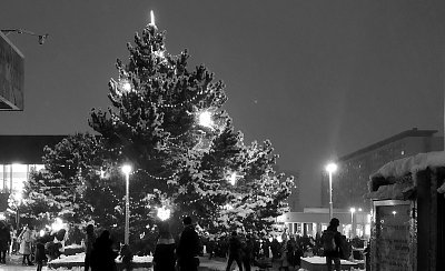Vánoční strom už svítí*