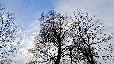 Mlha pryč, pojď se obejmout... *