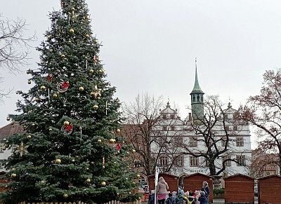 Malí koledníci u vánočního stromu