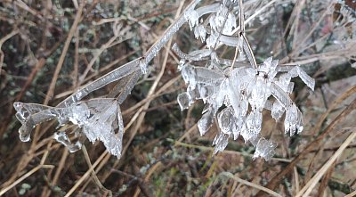 Noční dílo mistra skláře