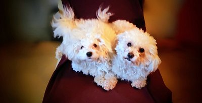 Přejeme krásnou 3. adventní neděli