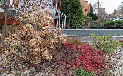 Prosincová zahrádka *