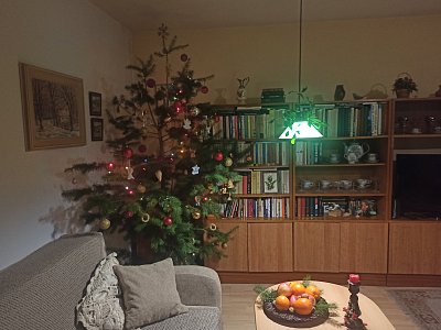 Tak jsme ho s vnukem nazdobili