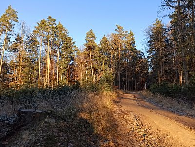 Taková je u nás zima...