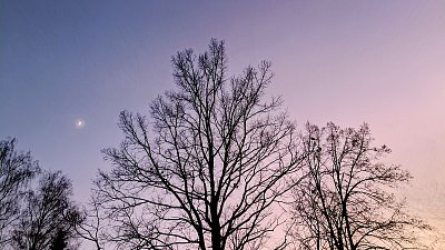 Když měsíček pomalu docházel... *