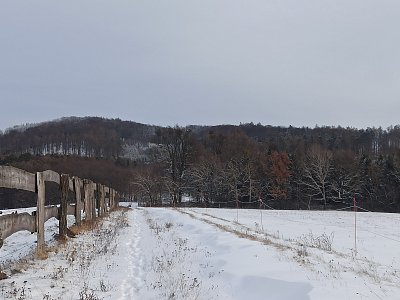 Novoroční procházka