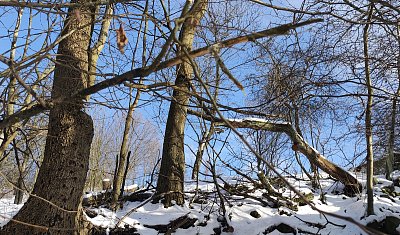 Příroda si snad poradí...