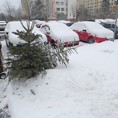Už to mají za sebou