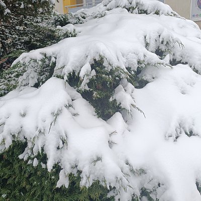 To už by stačilo !