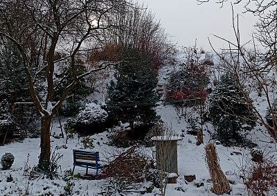 Sobotní ráno u nás...