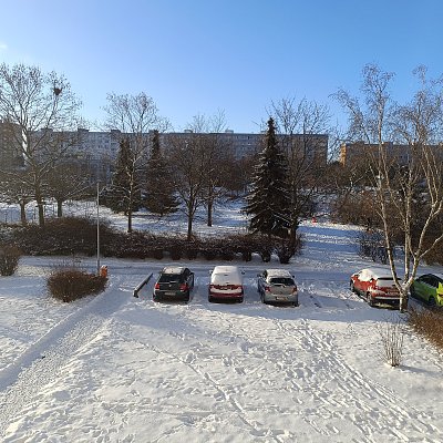 Opuštěné stračí hnízdo v našem parku