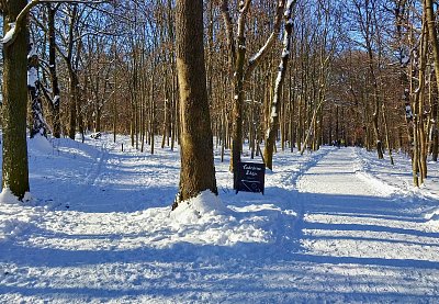 Jdu vpravo, cukrárna mě neláká