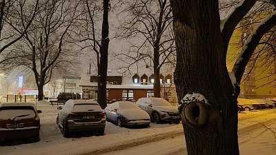 Výjimečná ranní cesta do práce *