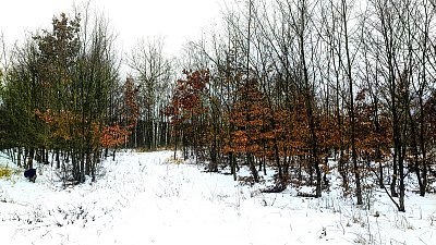 Co bylo včera, dnes už není