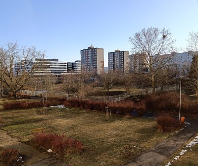 Přijde jaro, přijde...aneb park bez sněhu