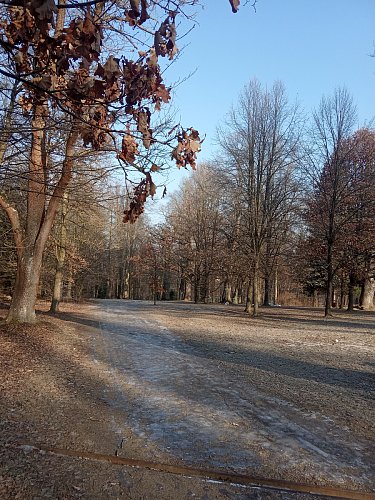 Zámecký park Vlašim