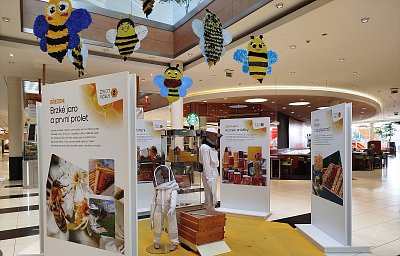 Když byl den včel *