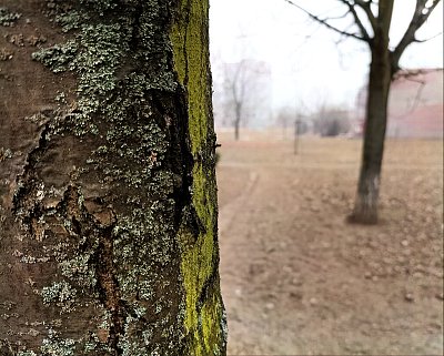 Severní vítr je krutý...