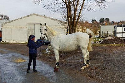 Promiňte, ale musím ...