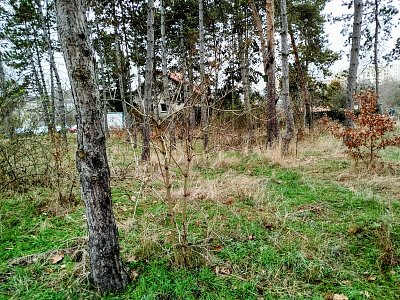 Kdo najde tu chajdu ? *