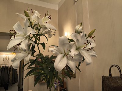 Kéž tyto lilie voní až k Vám...