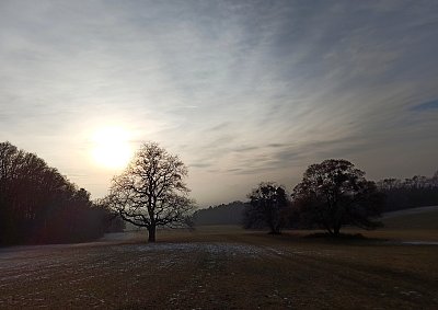 Pozdní odpoledne u nás