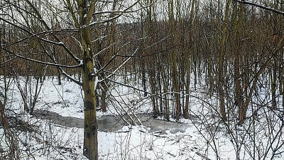 Únor bílý, pole sílí